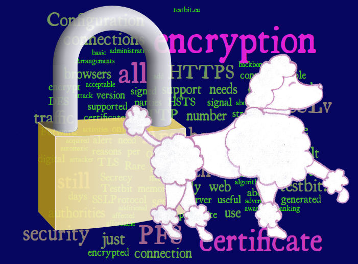 PFS HSTS SSL TLS HTTPS No-POODLE Ciphers